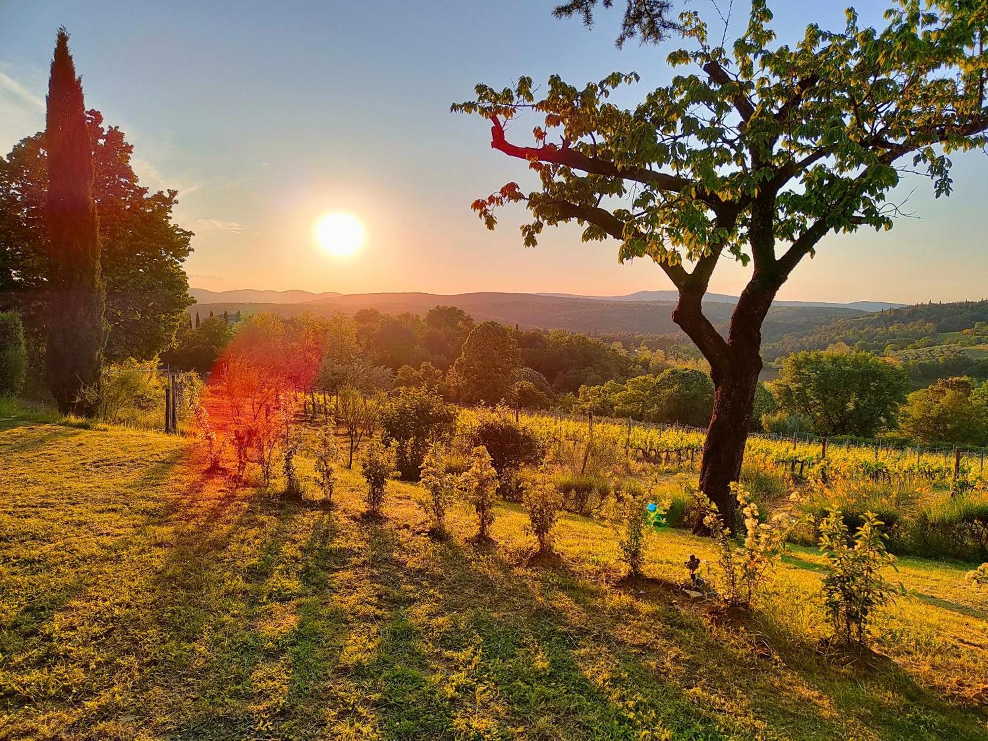 Borgo Villa Certano - Case Vacanza In Toscana Siena Eksteriør bilde