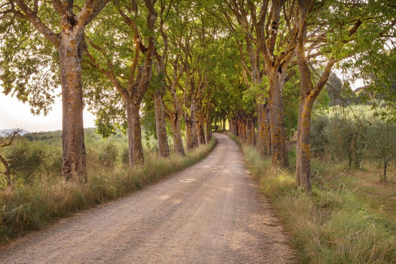 Borgo Villa Certano - Case Vacanza In Toscana Siena Eksteriør bilde